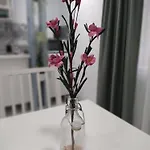 Apartamento Estudio - Estudio 1 *