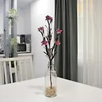 Apartamento Estudio - Estudio 1