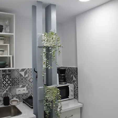 Apartamento Estudio - Estudio 1