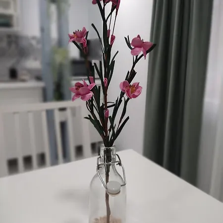 Apartman Estudio - Estudio 1 *