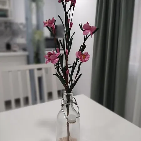 Estudio - Estudio 1 Apartment Torremolinos